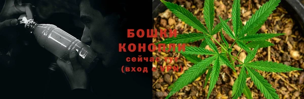 прущая мука Нея