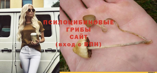 герыч Новокубанск