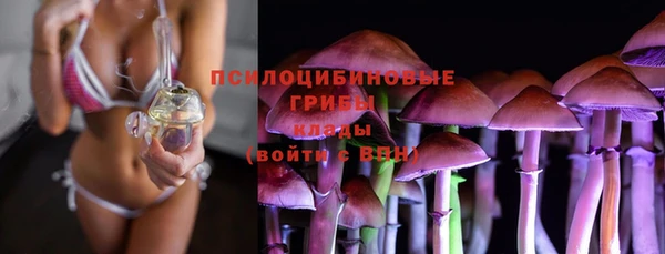 альфа пвп Нефтегорск