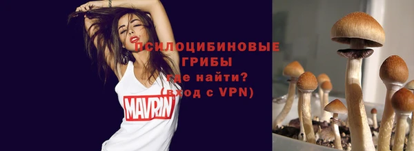 мдпв Семилуки