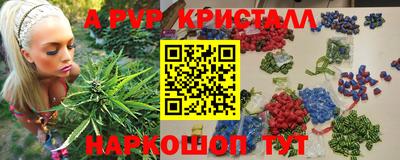 дмт Гатчина