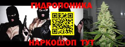 дмт Гатчина