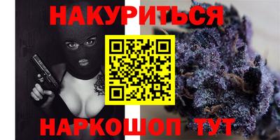 дмт Гатчина