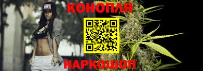 дмт Гатчина