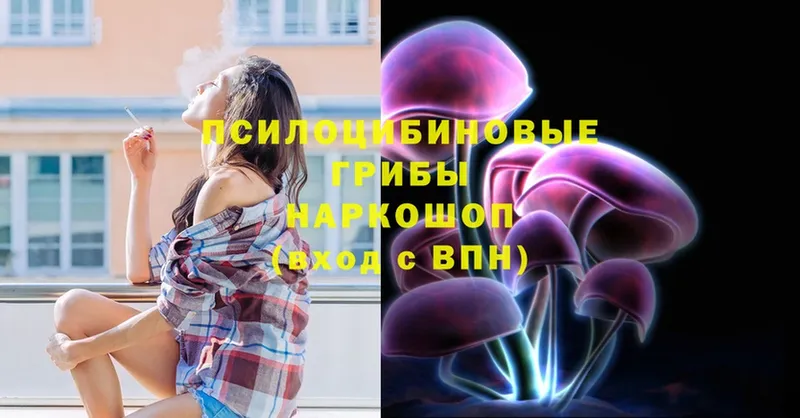цена   Керчь  Галлюциногенные грибы мицелий 