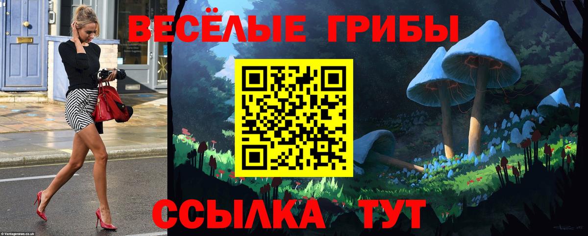 Галлюциногенные грибы MAGIC MUSHROOMS  Вход с VPN  Керчь 